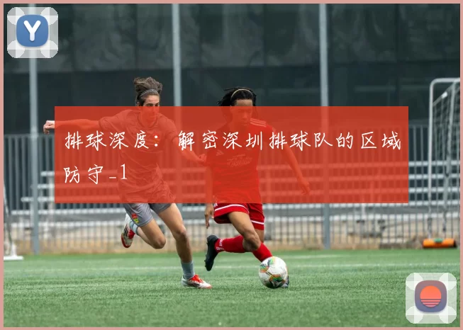 排球深度：解密深圳排球队的区域防守_1