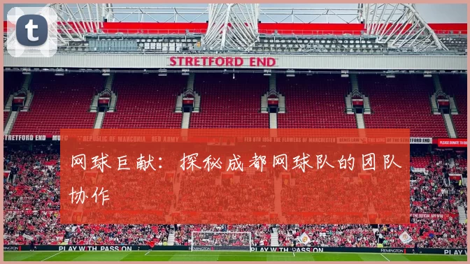网球巨献：探秘成都网球队的团队协作