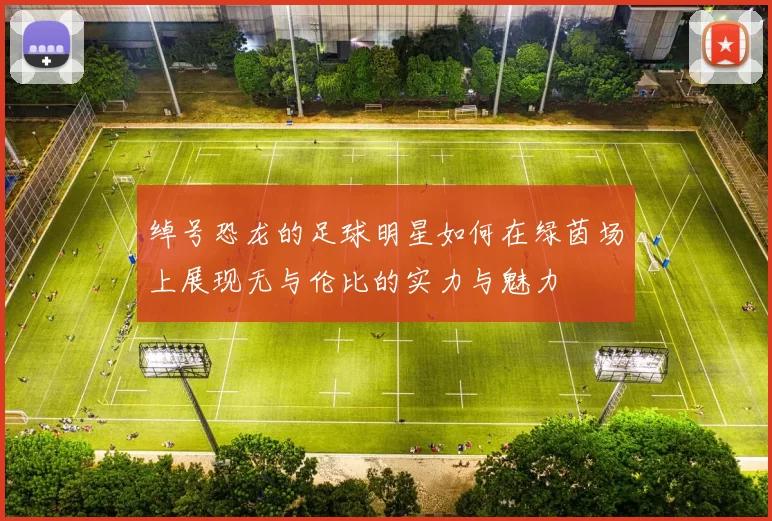 绰号恐龙的足球明星如何在绿茵场上展现无与伦比的实力与魅力
