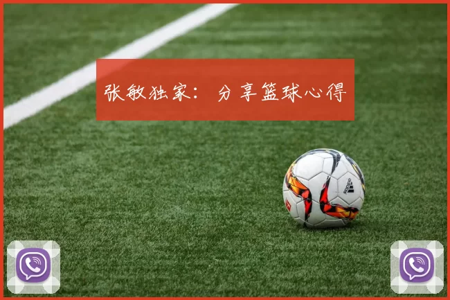 张敏独家：分享篮球心得