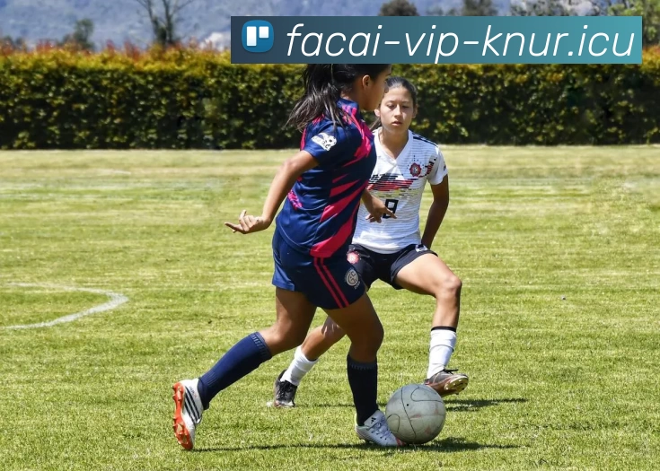 米兰体育服务体系